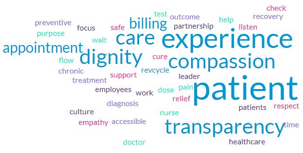 Wordle of patient experience terms